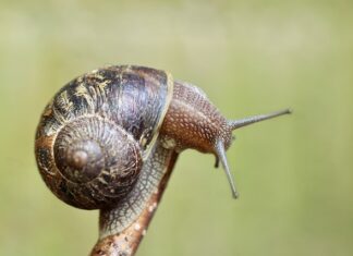 Za co odpowiada czujnik temperatury parownika?