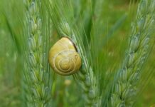 Jak uszczelnić plastikowy zbiornik paliwa?