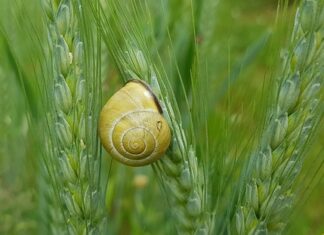 Jak uszczelnić plastikowy zbiornik paliwa?