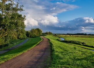 Jak działa wał kardana w motocyklu?